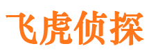 岢岚市场调查